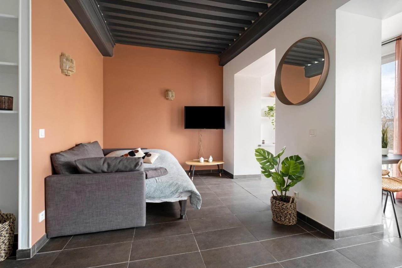 Lyon Cite- Appartement Vue Rhone Terrasse-Caluire Exteriér fotografie